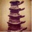 turtlelibrary.wordpress.com