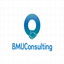 bmuconsulting.com