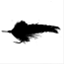 timhardenfly.com