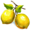lemon.press