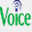 voicetelecom.com.br
