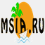 msiengineer.com
