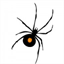 spyderwebs.ca