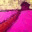lavenderhandbook.com