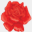rusticrosebarn.com