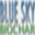 blueskybiochar.com