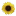 valleyvna.org