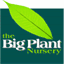 thebigplantnursery.com