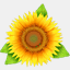 chromobyte.ch