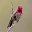 littlethingscount.com
