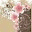 lisvinz.wordpress.com