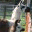 llamakevin.wordpress.com