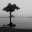 phle9ma.wordpress.com