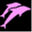 dolphindolphin.net