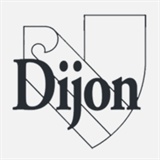 diplom-designerin.ch