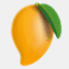 avocoach.org
