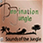 destinationjungle.com