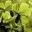cloverfieldgroup.wordpress.com