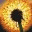 atomicdandelion.wordpress.com