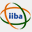 iiba.ie