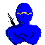 blueninjasoftware.com