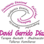 davidgarridodiaz.es