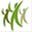cifsask.org