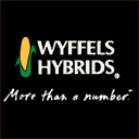 wyffels.com