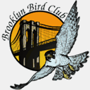 brooklynbirdclub.org