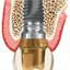 danielveloza.com