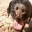 barcelosandus.wordpress.com
