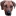 rhodesian-ridgeback-lion.de