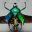 insectlabstudio.com