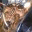 dustynbustos.wordpress.com