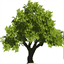 bayprolandscape.com