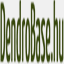 dendrobase.hu