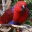 lilmisspoutinessegues.wordpress.com