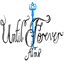 untilforeverfilms.com