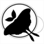 lunabreezeperformance.com
