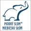 modryslon.com.pl