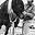 performanceequinebodywork.com