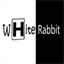 whiterabbitinfotech.com