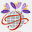 dadibra.com