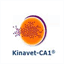 kinavet.com