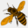 davidsbees.com