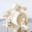 baldvinringsted.com