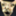 reinamiabrill.com