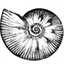 nautilusstudio.com