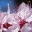 kareldemuynck.wordpress.com