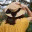 pocket101.wordpress.com
